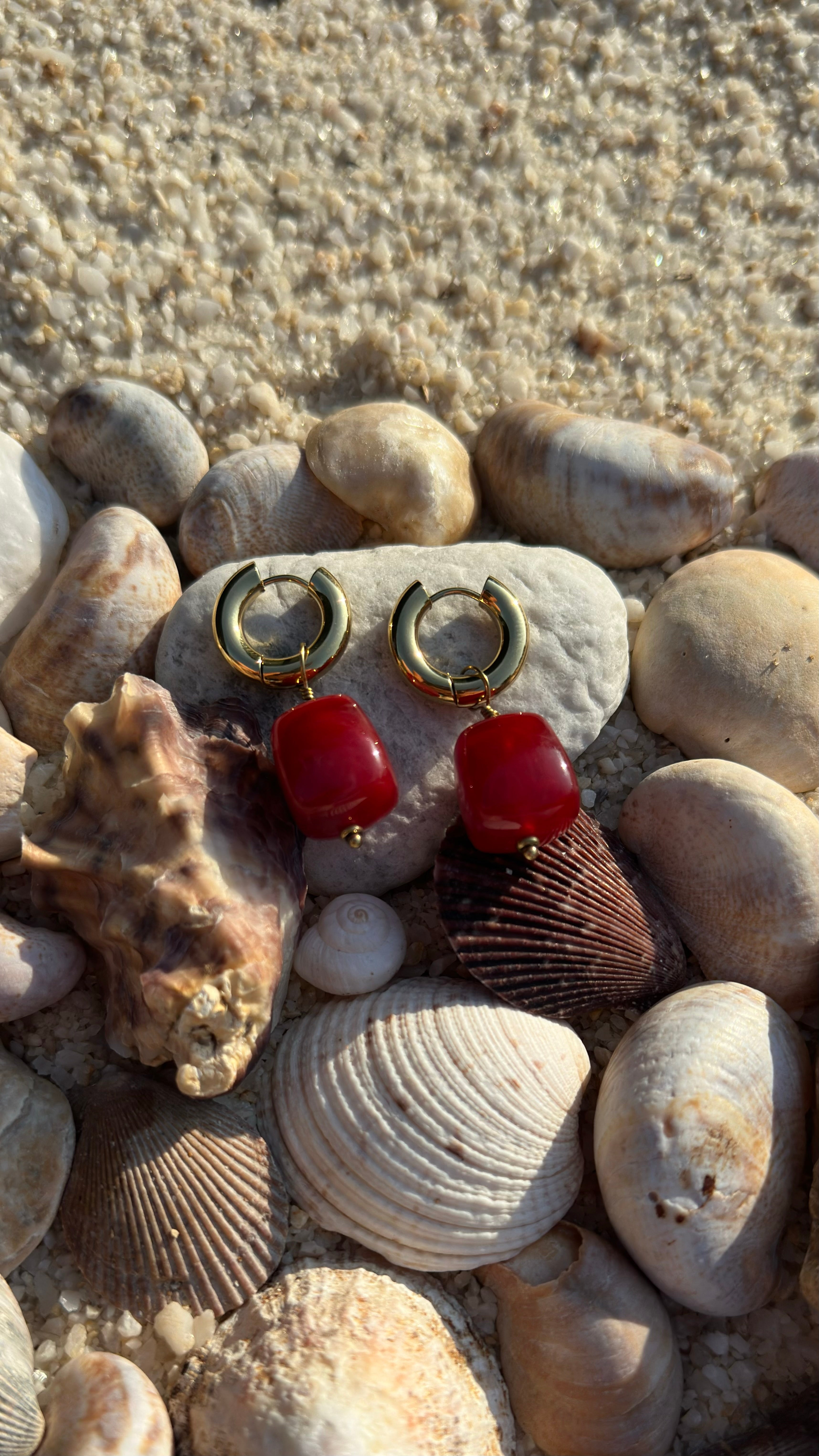 Paloma / Boucles
