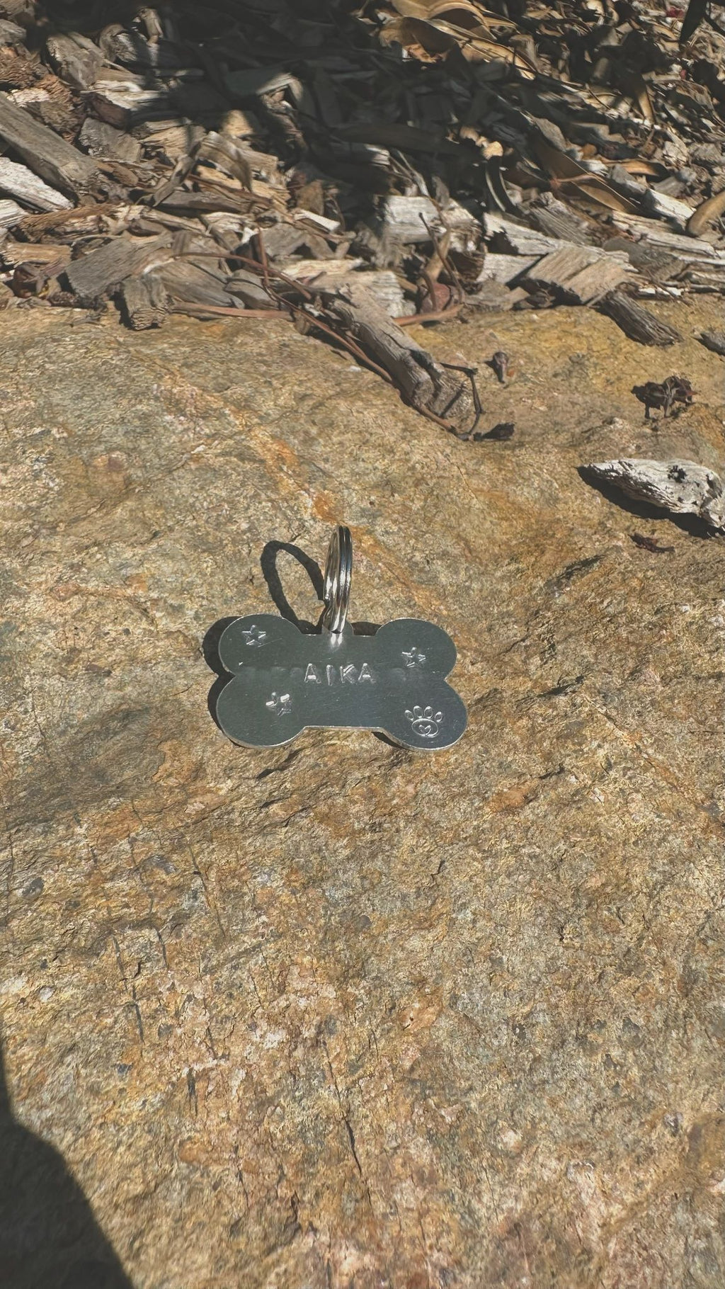Aïka / Médaille pour chien