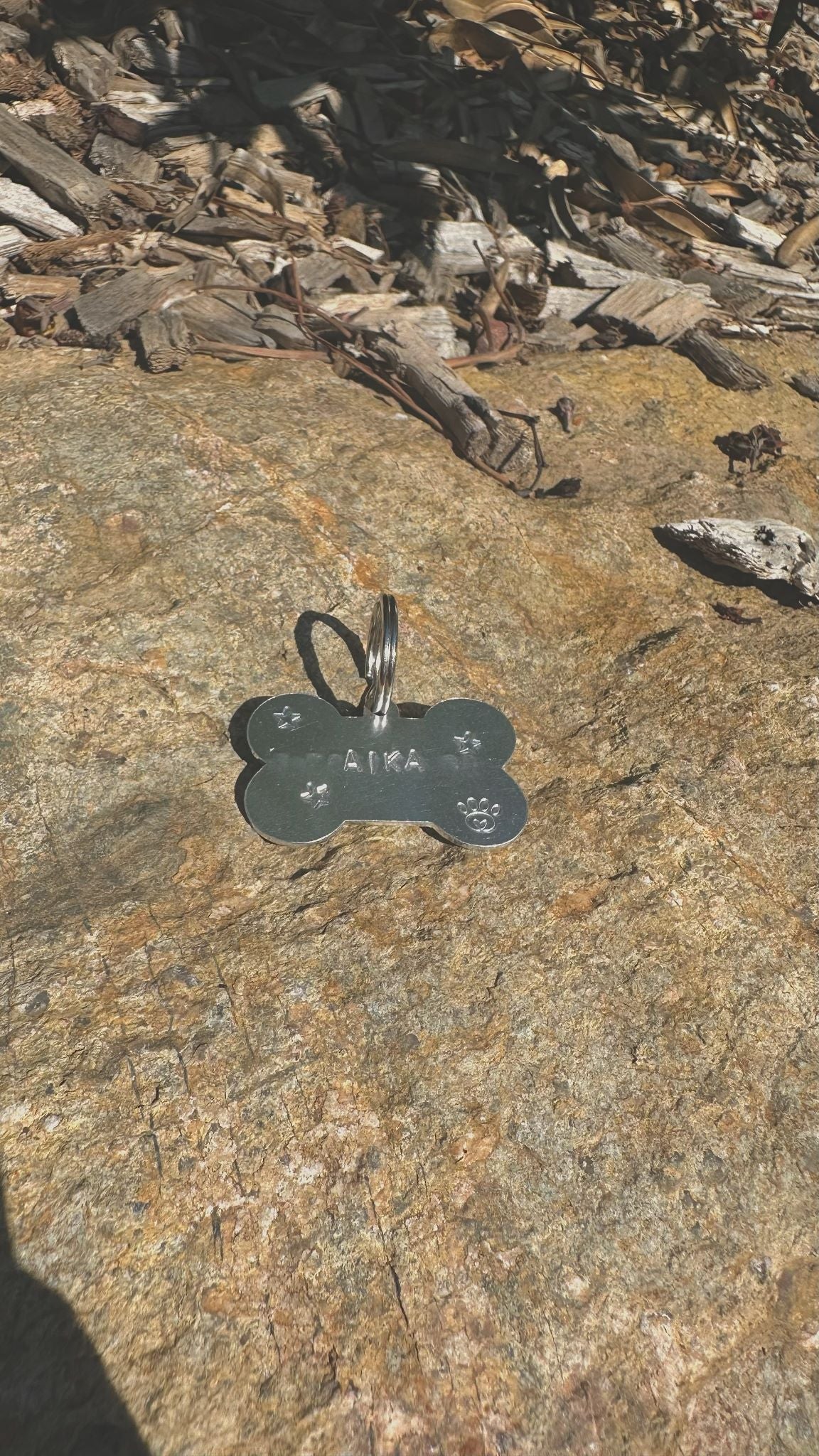 Aïka / Médaille pour chien