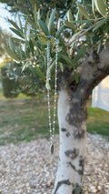 Zaia / Colliers