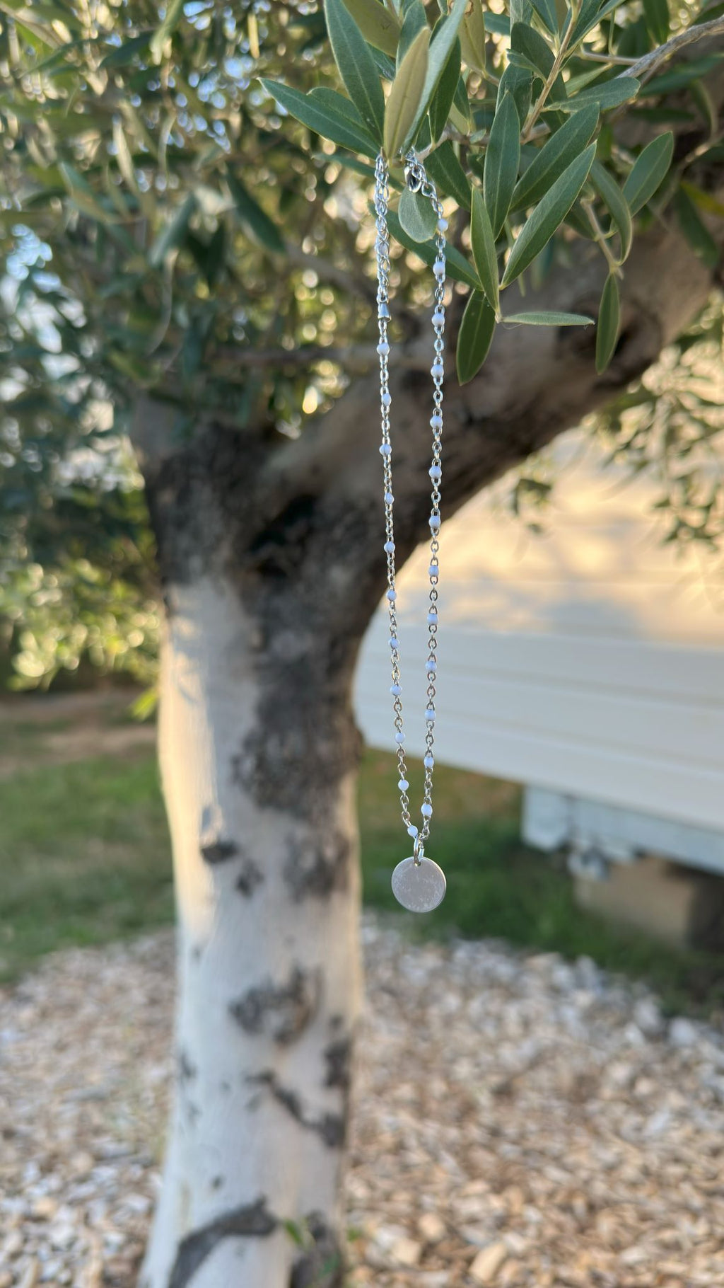 Zaia / Colliers